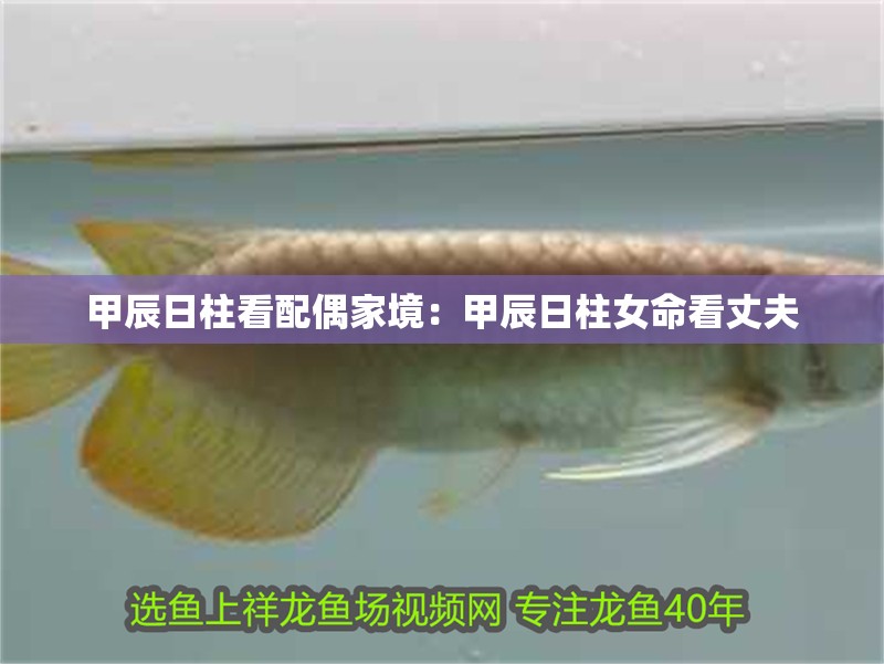 甲辰日柱看配偶家境：甲辰日柱女命看丈夫