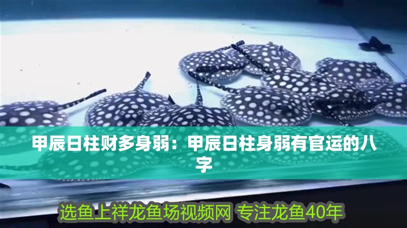甲辰日柱財多身弱：甲辰日柱身弱有官運的八字