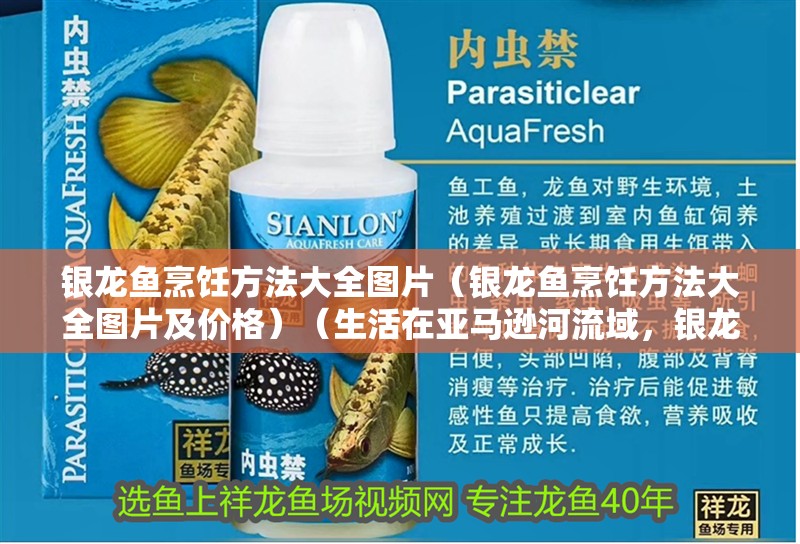 銀龍魚烹飪方法大全圖片（銀龍魚烹飪方法大全圖片及價格）（生活在亞馬遜河流域，銀龍魚的飼養(yǎng)方法是什么？）