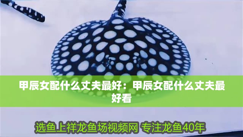甲辰女配什么丈夫最好：甲辰女配什么丈夫最好看