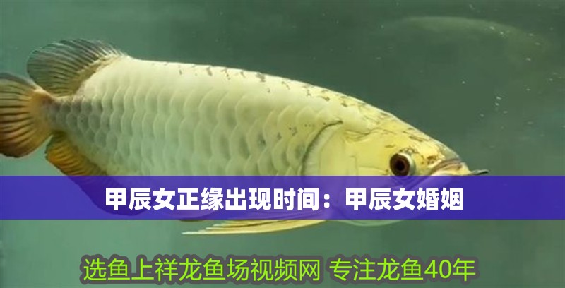 甲辰女正緣出現時間：甲辰女婚姻