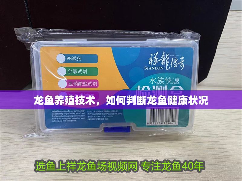 龍魚養殖技術，如何判斷龍魚健康狀況