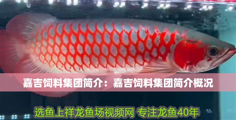 嘉吉飼料集團簡介：嘉吉飼料集團簡介概況