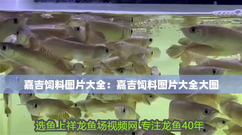 嘉吉飼料圖片大全：嘉吉飼料圖片大全大圖