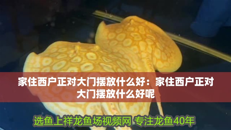 家住西戶正對大門擺放什么好：家住西戶正對大門擺放什么好呢