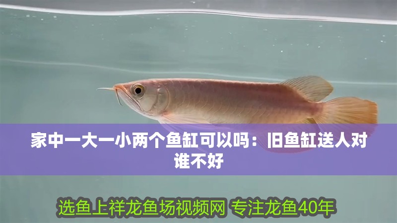 家中一大一小兩個魚缸可以嗎：舊魚缸送人對誰不好