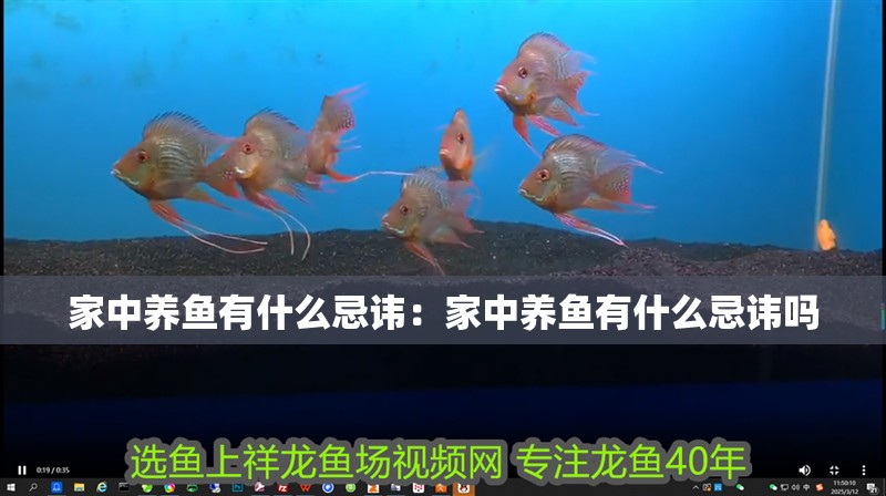家中養魚有什么忌諱：家中養魚有什么忌諱嗎