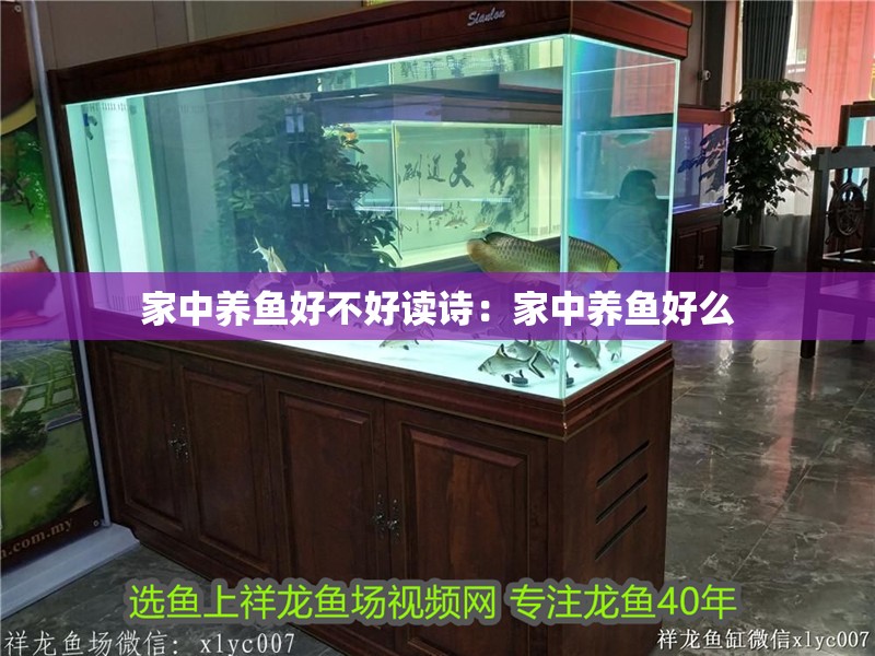 家中養魚好不好讀詩：家中養魚好么