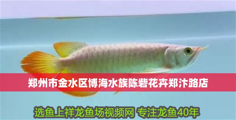 鄭州市金水區博海水族陳砦花卉鄭汴路店