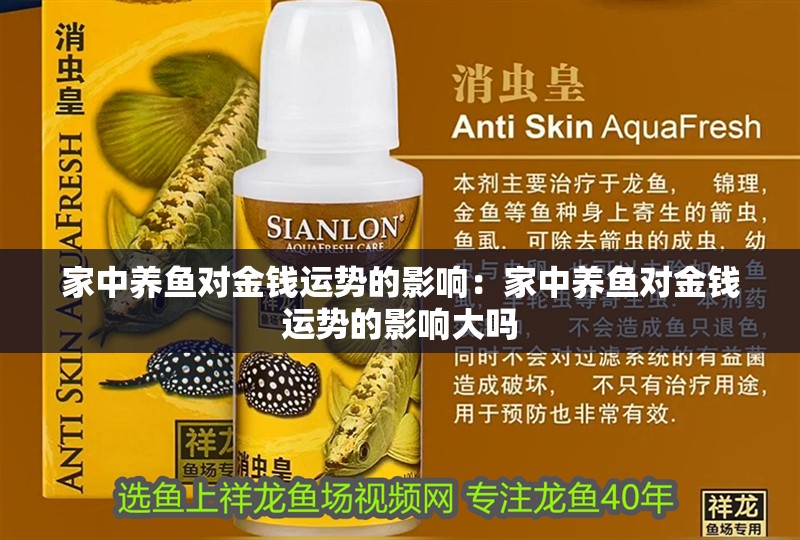 家中養魚對金錢運勢的影響：家中養魚對金錢運勢的影響大嗎