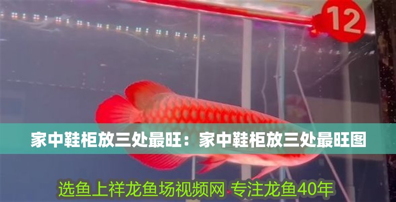 家中鞋柜放三處最旺：家中鞋柜放三處最旺圖