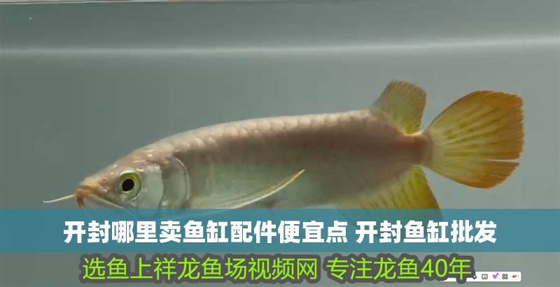 開封哪里賣魚缸配件便宜點(diǎn) 開封魚缸批發(fā)