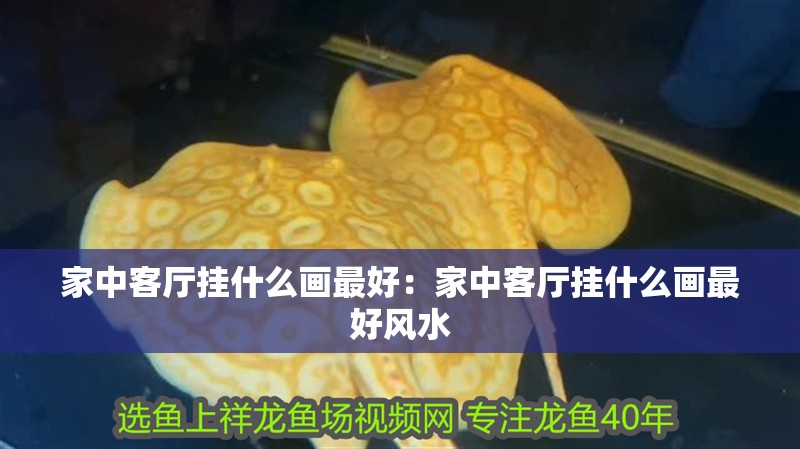 家中客廳掛什么畫最好：家中客廳掛什么畫最好風水