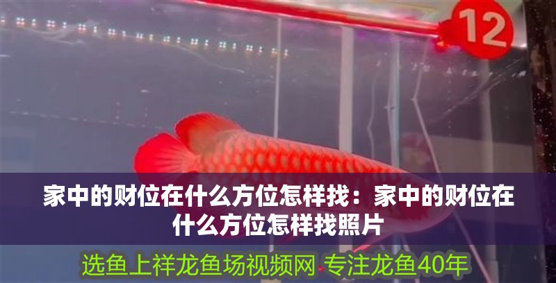 家中的財位在什么方位怎樣找：家中的財位在什么方位怎樣找照片