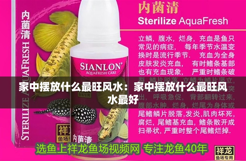 家中擺放什么最旺風水：家中擺放什么最旺風水最好