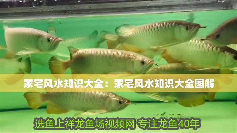 家宅風水知識大全：家宅風水知識大全圖解