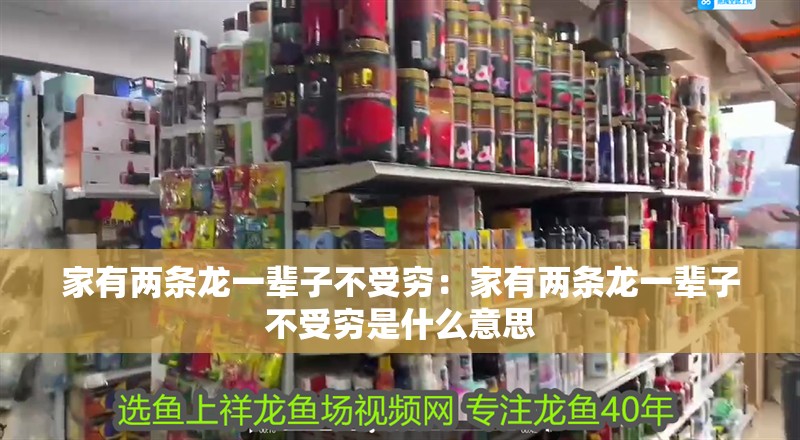 家有兩條龍一輩子不受窮：家有兩條龍一輩子不受窮是什么意思