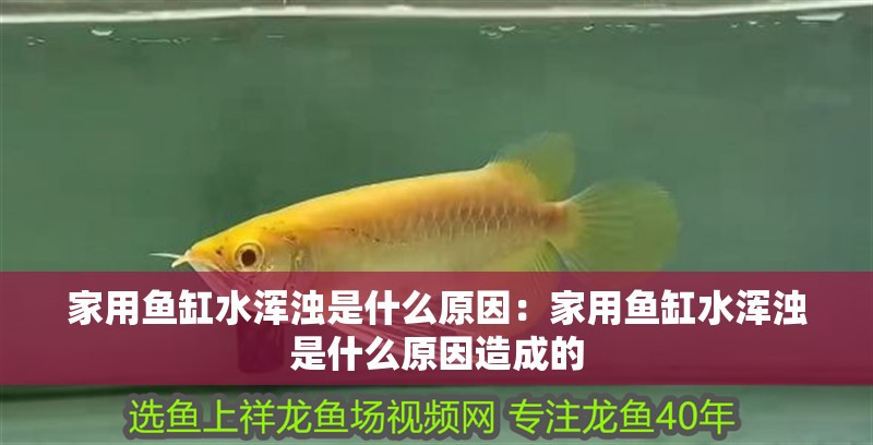 家用魚(yú)缸水渾濁是什么原因：家用魚(yú)缸水渾濁是什么原因造成的