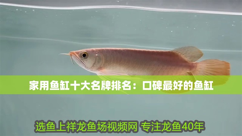 家用魚缸十<strong><mark>大名</mark></strong>牌排名：口碑最好的魚缸