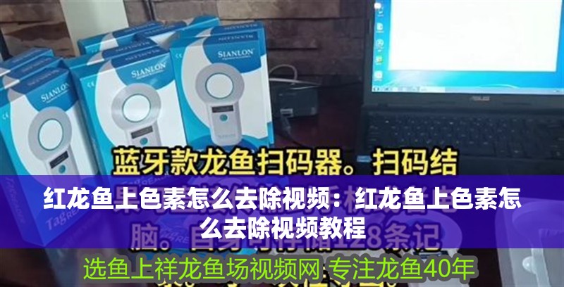 紅龍魚上色素怎么去除視頻：紅龍魚上色素怎么去除視頻教程