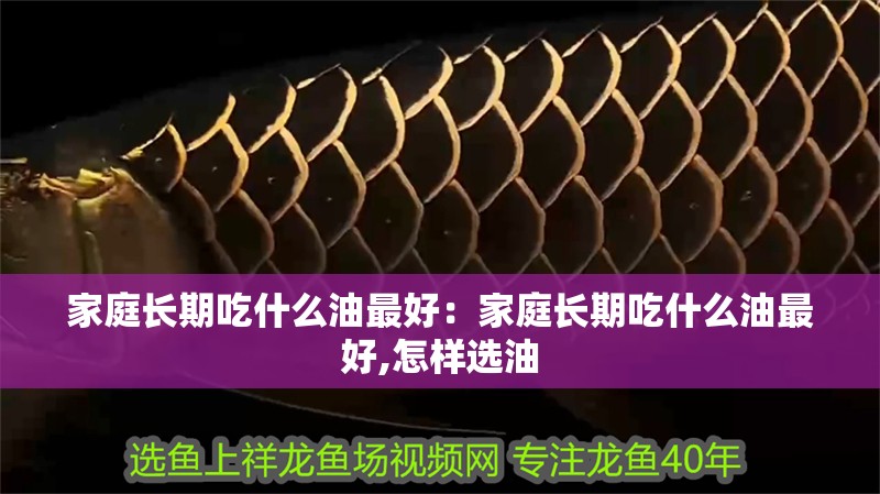 家庭長期吃什么油最好:家庭長期吃什么油最好,怎樣選油