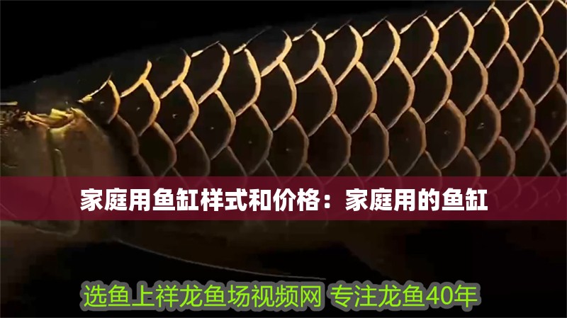 家庭用魚缸樣式和價格:家庭用的魚缸 龍魚百科 第2張 家庭用魚缸樣式和價格:家庭用的魚缸 家庭用魚缸樣式和價格:家庭用的魚缸 龍魚百科 第2張