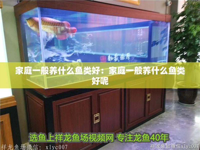 家庭一般養(yǎng)什么魚類好：家庭一般養(yǎng)什么魚類好呢