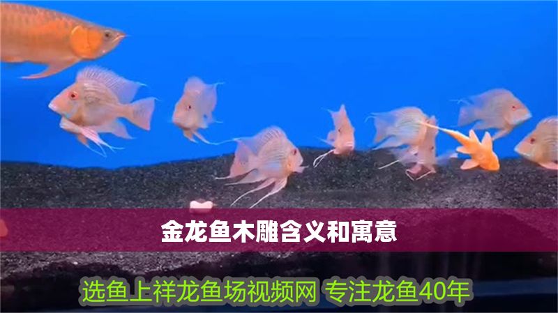 金龍魚木雕含義和寓意