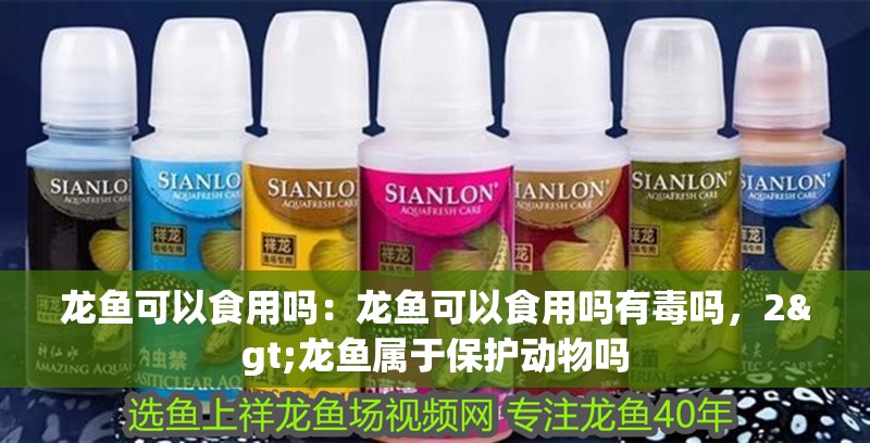 龍魚可以食用嗎：龍魚可以食用嗎有毒嗎，2>龍魚屬于保護動物嗎