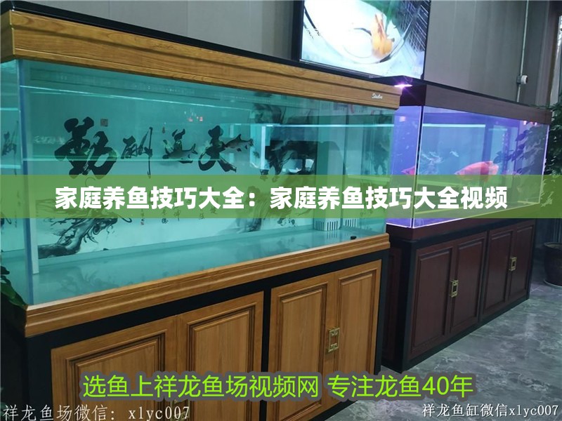 家庭養(yǎng)魚(yú)技巧大全：家庭養(yǎng)魚(yú)技巧大全視頻