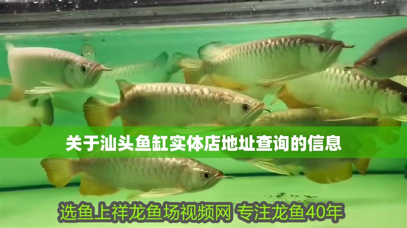 關于汕頭魚缸實體店地址查詢的信息