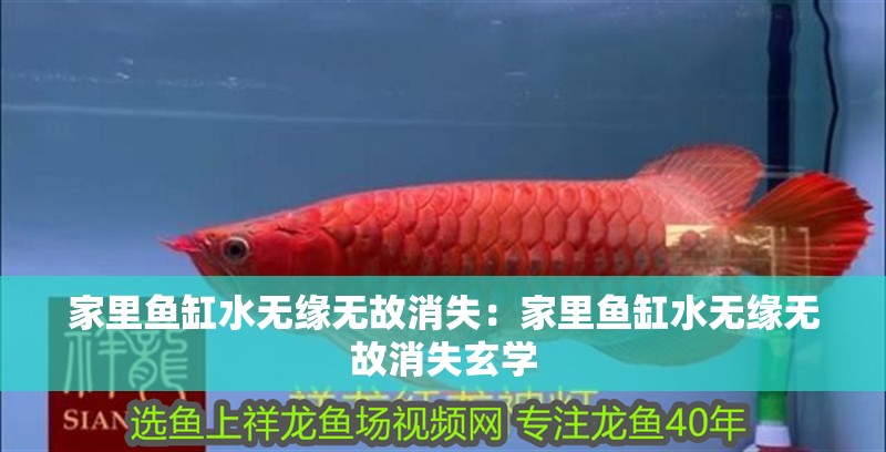 家里魚缸水無緣無故消失：家里魚缸水無緣無故消失玄學(xué)