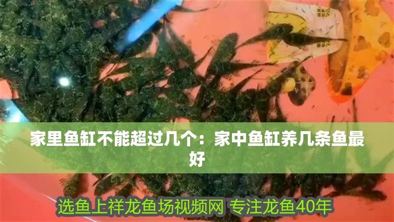 家里魚缸不能超過幾個：家中魚缸養幾條魚最好