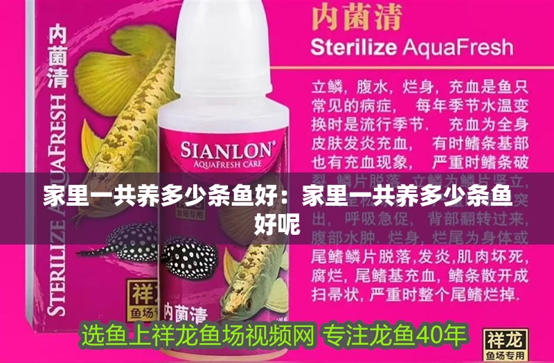 家里一共養(yǎng)多少條魚好：家里一共養(yǎng)多少條魚好呢