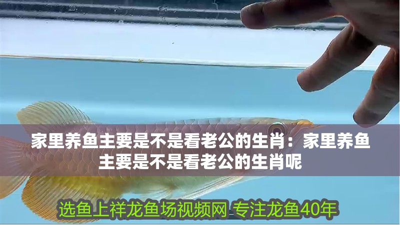 家里養魚主要是不是看老公的生肖：家里養魚主要是不是看老公的生肖呢