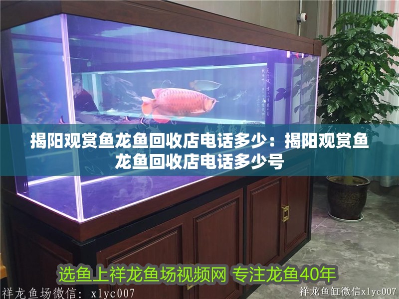 揭陽觀賞魚龍魚回收店電話多少：揭陽觀賞魚龍魚回收店電話多少號