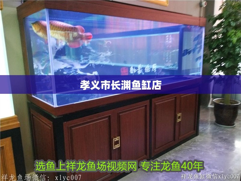 孝義市長淵魚缸店