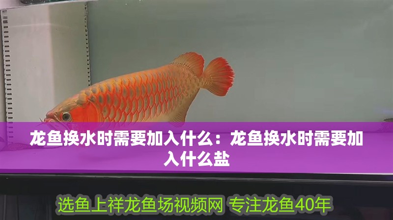 龍魚換水時需要加入什么:龍魚換水時需要加入什么鹽 水族問答 龍魚換水時需要加入什么:龍魚換水時需要加入什么鹽 龍魚換水時需要加入什么:龍魚換水時需要加入什么鹽 水族問答