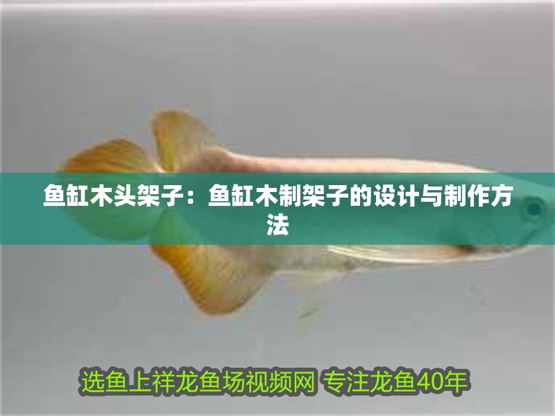 魚缸木頭架子：魚缸木制架子的設(shè)計與制作方法