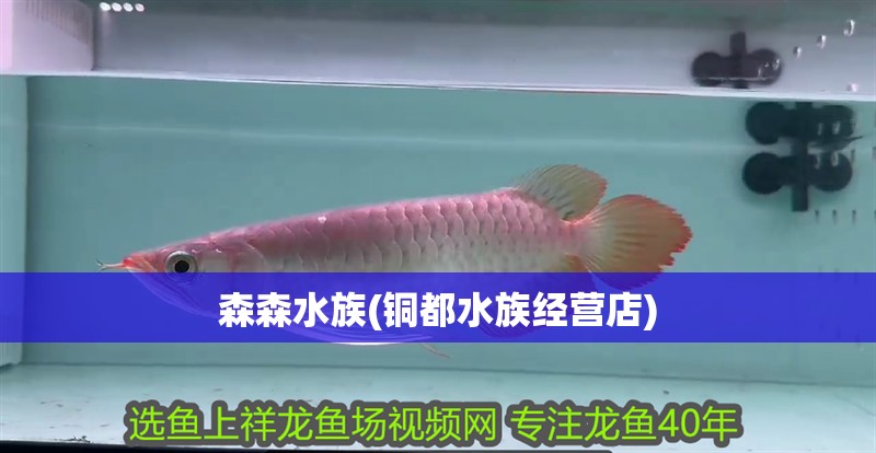 森森水族(銅都水族經營店)