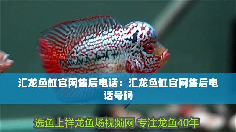 匯龍魚缸官網(wǎng)售后電話：匯龍魚缸官網(wǎng)售后電話號(hào)碼