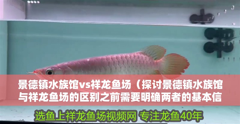 景德鎮(zhèn)水族館vs祥龍魚場（探討景德鎮(zhèn)水族館與祥龍魚場的區(qū)別之前需要明確兩者的基本信息和特點）