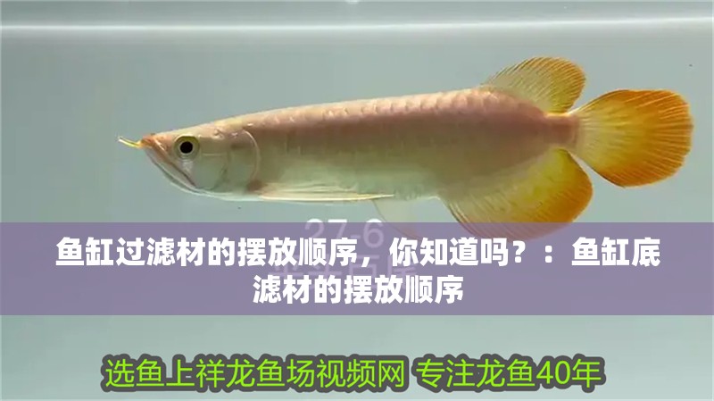 魚(yú)缸過(guò)濾材的擺放順序，你知道嗎？：魚(yú)缸底濾材的擺放順序