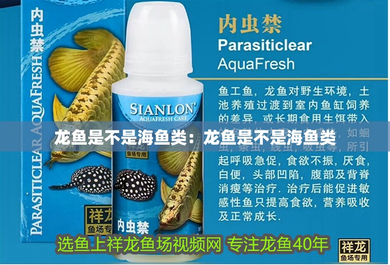 龍魚是不是海魚類：龍魚是不是海魚類