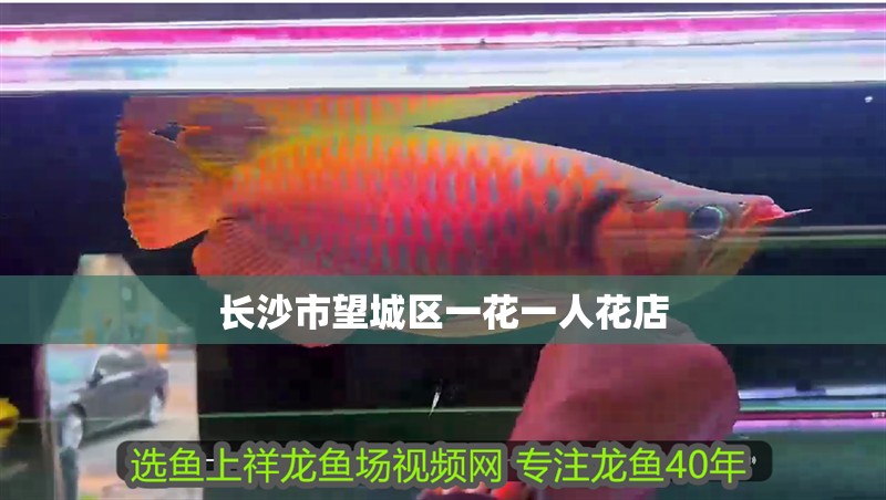 長(zhǎng)沙市望城區(qū)一花一人花店