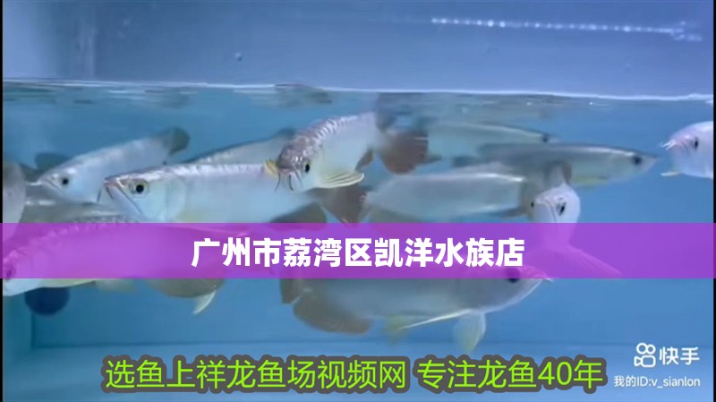 廣州市荔灣區(qū)凱洋水族店