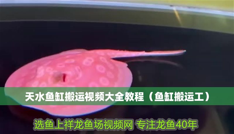 天水魚缸搬運視頻大全教程（魚缸搬運工）