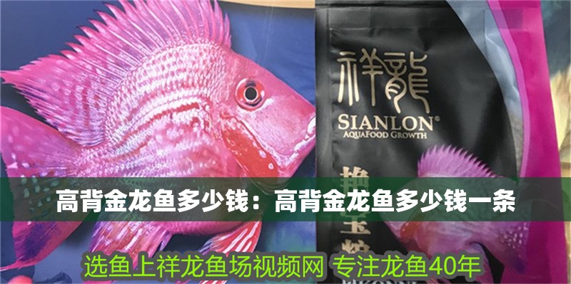 高背金龍魚多少錢：高背金龍魚多少錢一條