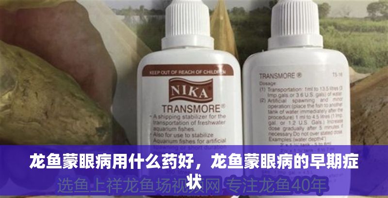 龍魚蒙眼病用什么藥好，龍魚蒙眼病的早期癥狀