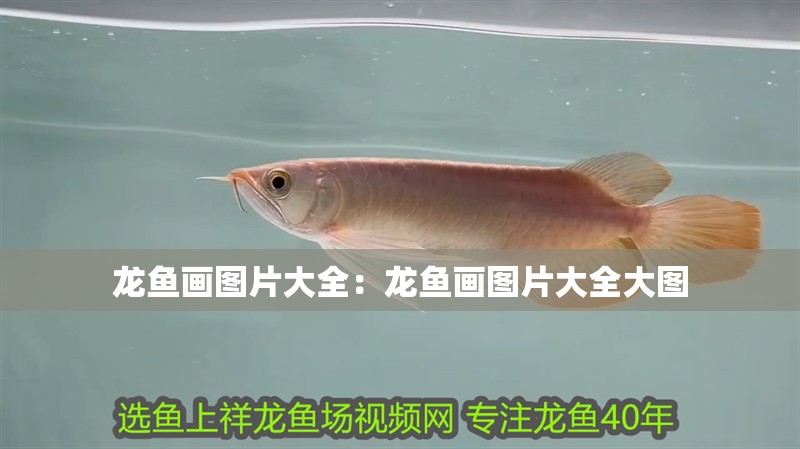 龍魚翻譯